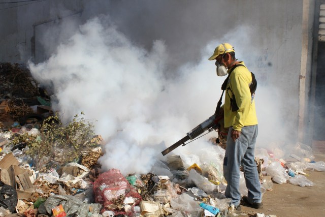 (foto José Díaz)