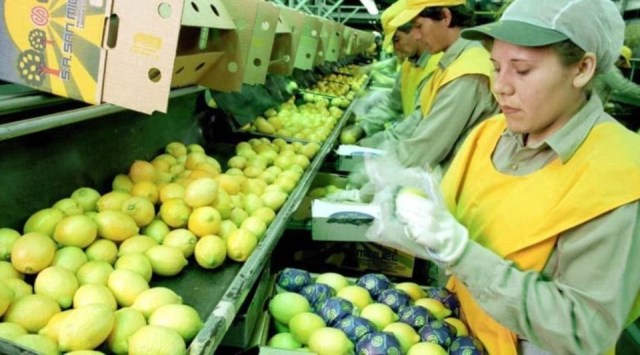 Limones argentinos