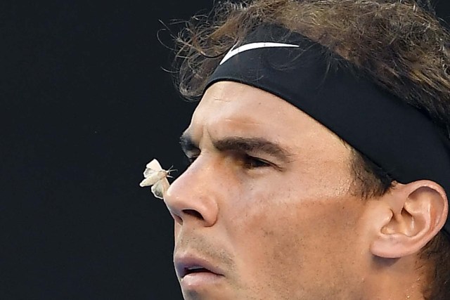 MLB08 MELBOURNE (AUSTRALIA) 25/01/2017.- Una polilla se posa en la nariz del tenista español Rafael Nadal durante su partido de cuartos de final del Abierto de Australia disputado contra el canadiense Milos Raonic, en Melbourne (Australia), el 25 de enero de 2017. EFE/FILIP SINGER