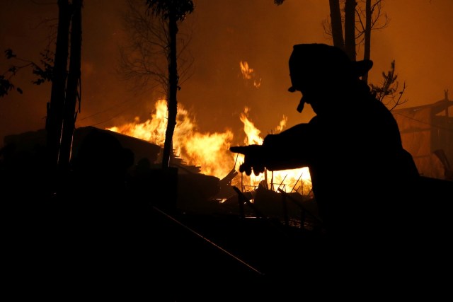 A firefighter gestures as the worst wildfires in Chile's modern history are ravaging wide swaths of the country's central-south regions, in Santa Olga, Chile January 26, 2017. REUTERS/Rodrigo Garrido