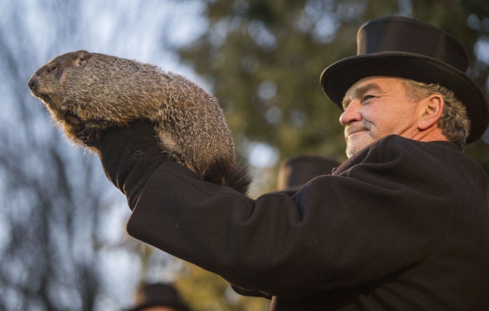 La marmota Phil predice seis semanas más de invierno en EEUU