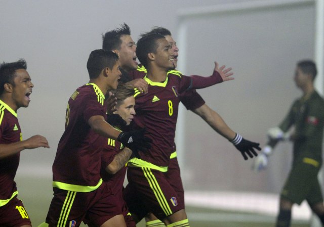 vinotinto