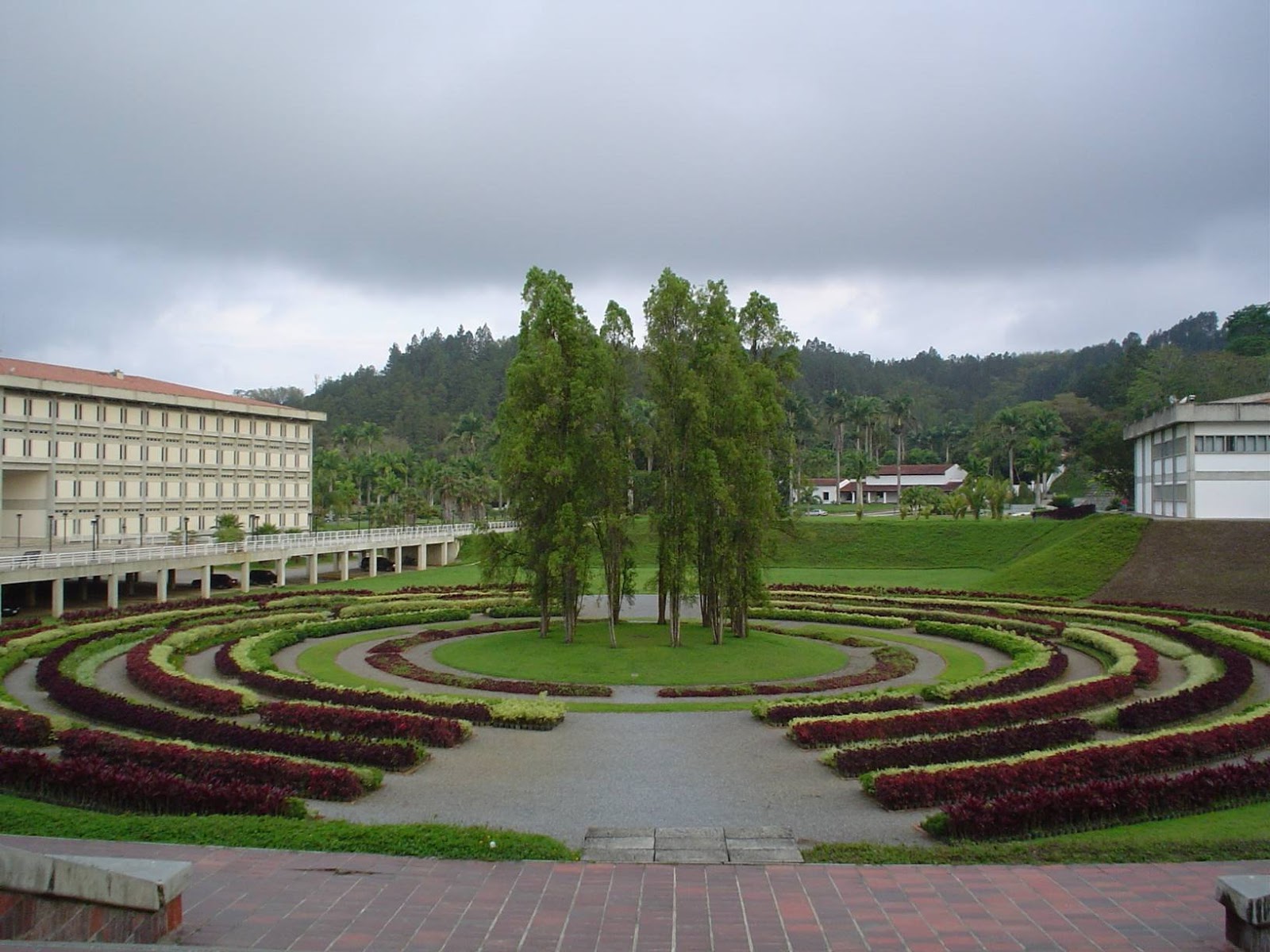 Comunidad uesebista acuerda desconocer cualquier autoridad impuesta por el CNU