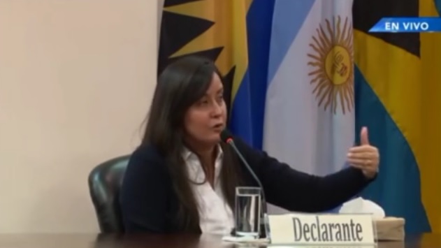 Rocío San Miguel expones sus argumentos, en imagen captada del video de la CIDH el pasado 14 de febrero de 2017