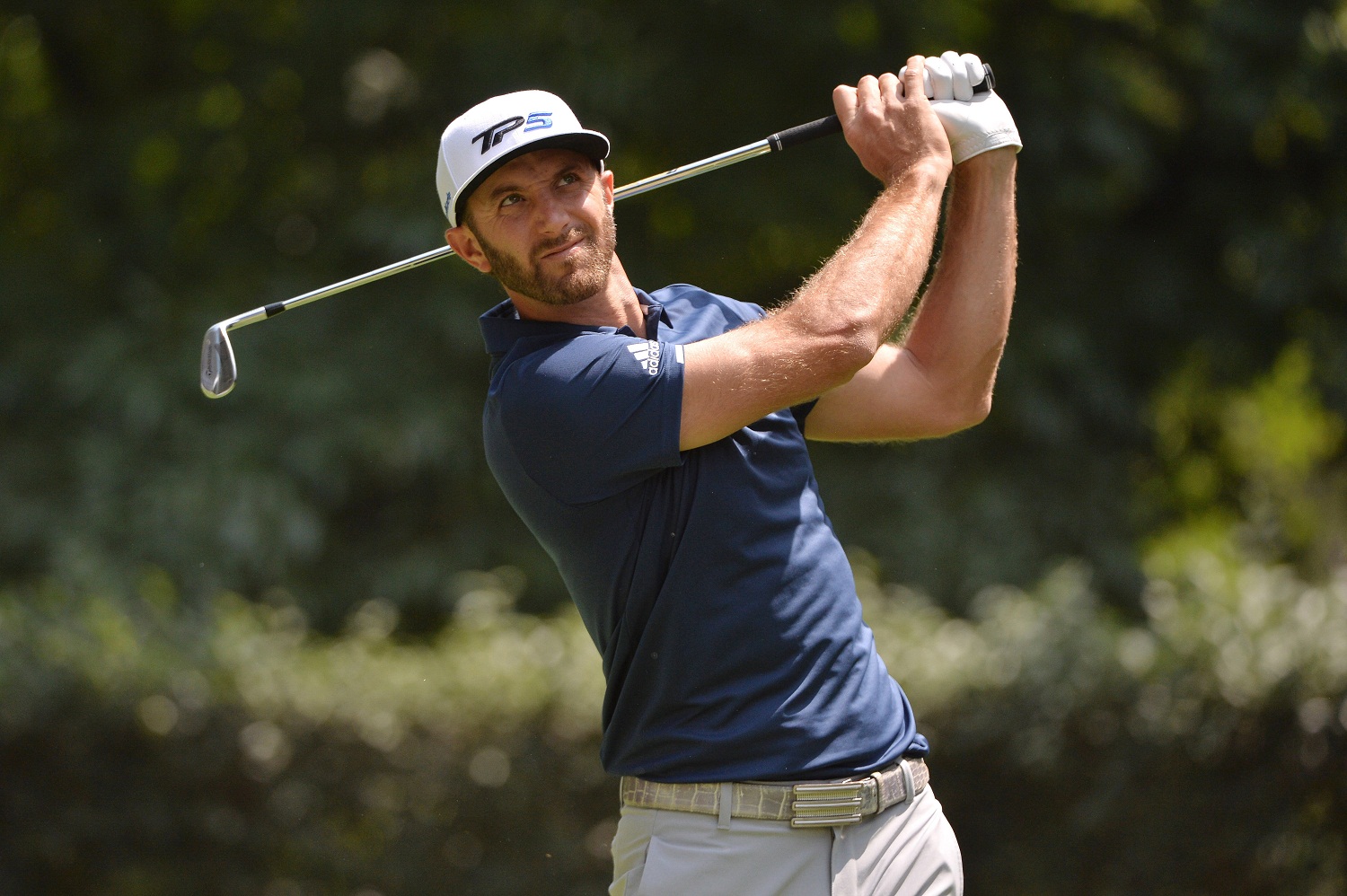 Dustin Johnson se adjudicó el World Golf Championship-México