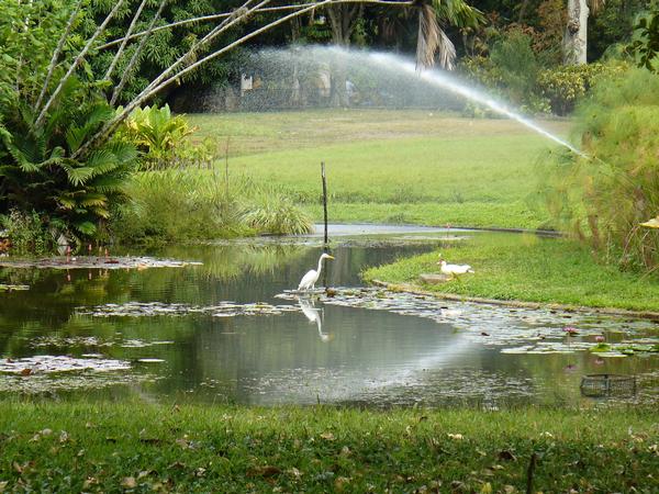 Parque miranda