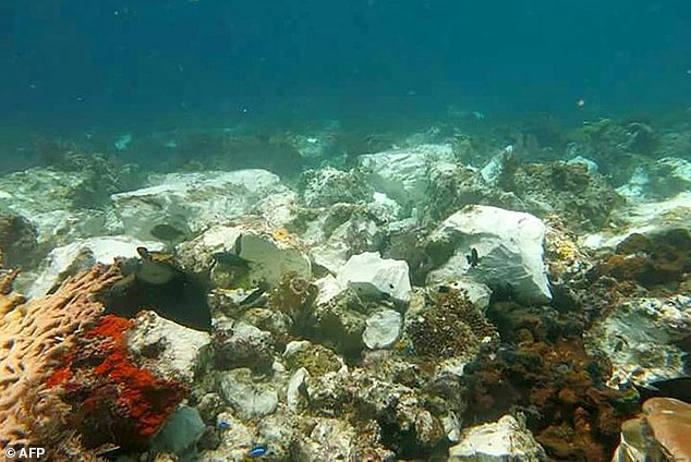 214871-4311558-The_Caledonian_Sky_cruise_ship_slammed_into_the_reefs_at_low_tid-a-3_1489479019329