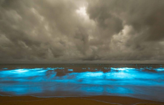 ¿WTF? La alucinante playa AZUL neón que te dejará con la boca abierta (+Fotos)