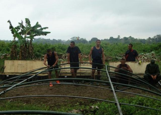 Foto: Incursión de militares venezolanos en Colombia / BlueRadio