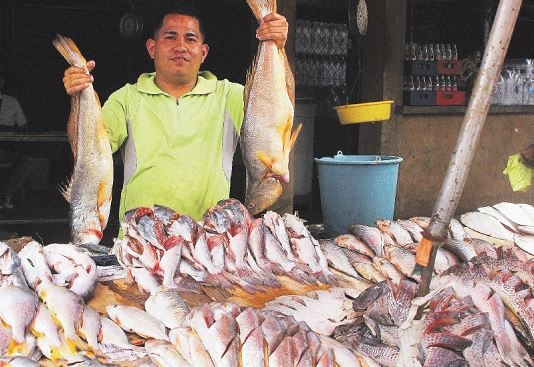 pescado-zulia