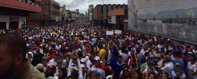 GOCHOS EN LA QUINTA AVENIDA