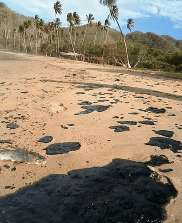 Milagros Paz pedirá evaluar daños ambientales en costas de Paria tras derrame