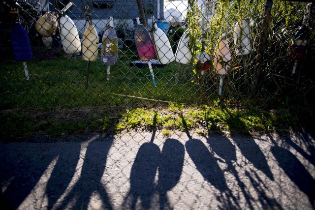 Crab trap buoys hang from a fence in Tangier, Virginia, May 15, 2017, where climate change and rising sea levels threaten the inhabitants of the slowly sinking island. Now measuring 1.2 square miles, Tangier Island has lost two-thirds of its landmass since 1850. If nothing is done to stop the erosion, it may disappear completely in the next 40 years. / AFP PHOTO / JIM WATSON