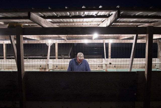 Waterman Rudy Parks picks through his soft shell crabs in his crab shanty early in the morning in Tangier, Virginia, May 15, 2017, where climate change and rising sea levels threaten the inhabitants of the slowly sinking island. Now measuring 1.2 square miles, Tangier Island has lost two-thirds of its landmass since 1850. If nothing is done to stop the erosion, it may disappear completely in the next 40 years. / AFP PHOTO / JIM WATSON