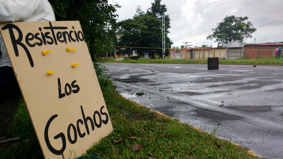 Los gochos se unen al paro cívico nacional en Táchira #20Jul (Fotos)