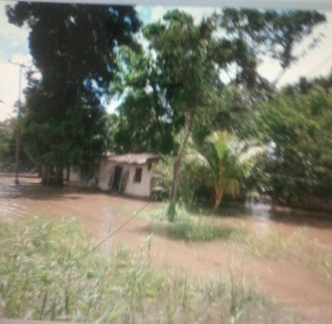 Familias afectadas por la inundación del Delta Medio y Bajo son consecuencia de la inacción del Gobierno