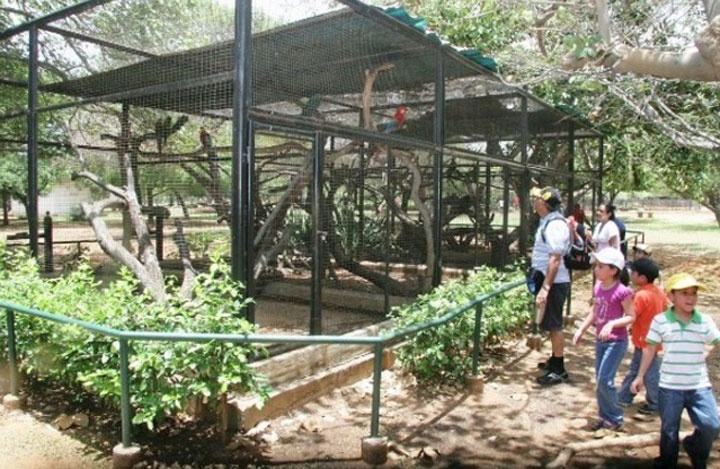 Destituyen a directo del zoológico en el Zulia por robo de animales