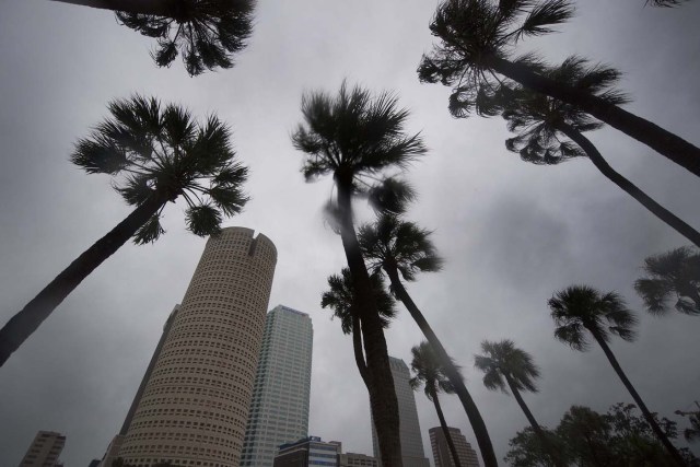 The skyline of Tampa, Florida, is seen on September 10, 2017, where Tampa residents are fleeing the evacuation zones ahead of Hurricane Irma's landfall. Hurricane Irma regained strength to a Category 4 storm early Sunday as it began pummeling Florida and threatening landfall within hours. / AFP PHOTO / JIM WATSON