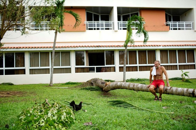 British tourist Terry Gill watches a chicken and its chicks as he rests on a broken palm tree a day after the passage of Hurricane Irma in Varadero, Cuba, September 10, 2017. REUTERS/Alexandre Meneghini