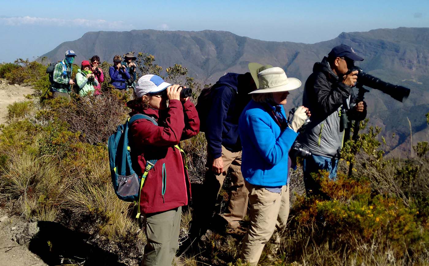 Más de 4,6 millones de viajeros internacionales han visitado Colombia en 2018