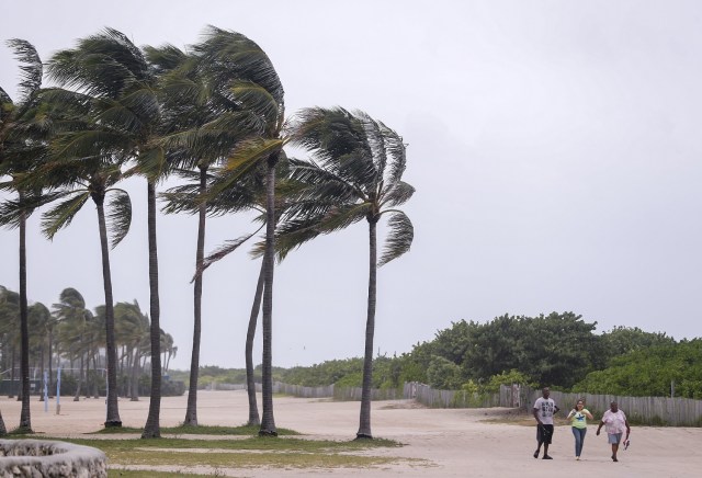 ELX27. Miami Beach (United States), 09/09/2017.- People walk past blowing palm trees as the weather conditions deteriorate due to Hurricane Irma in Miami Beach, Florida, USA, 09 September 2017. Many areas are under mandatory evacuation orders as Irma approaches Florida. (Estados Unidos) EFE/EPA/ERIK S. LESSER