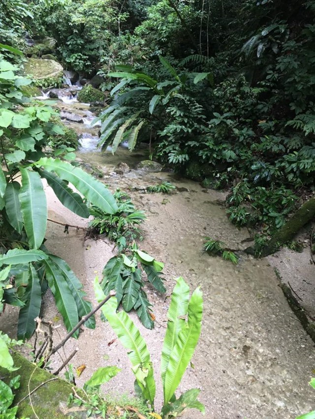 Deslizamientos de tierra en plena vía hacía Choroní  / Foto:  Vanessa Rodríguez