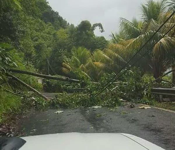 dominica-2