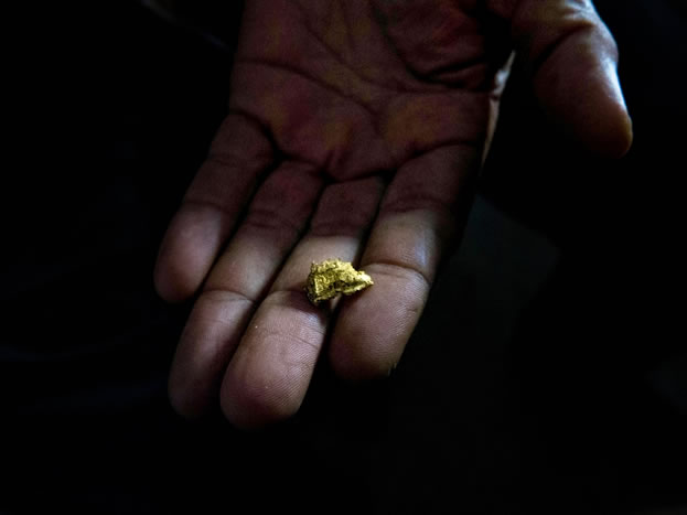 Foto tomada por el periodista Bram Ebus en Amazonas 