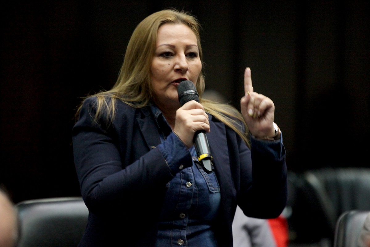 Diputada Maribel Guédez planteó que el tema de la crisis alimentaria debe ser tema prioritario en el diálogo