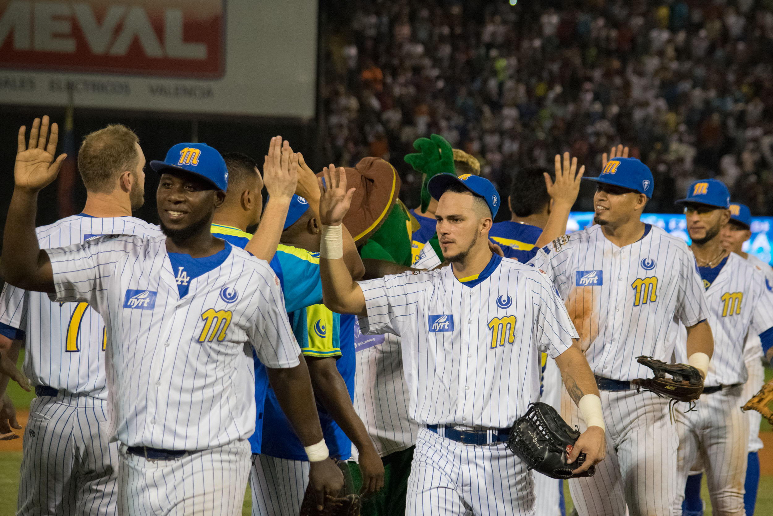 Magallanes le rapó por quinta vez la melena a los Leones del Caracas