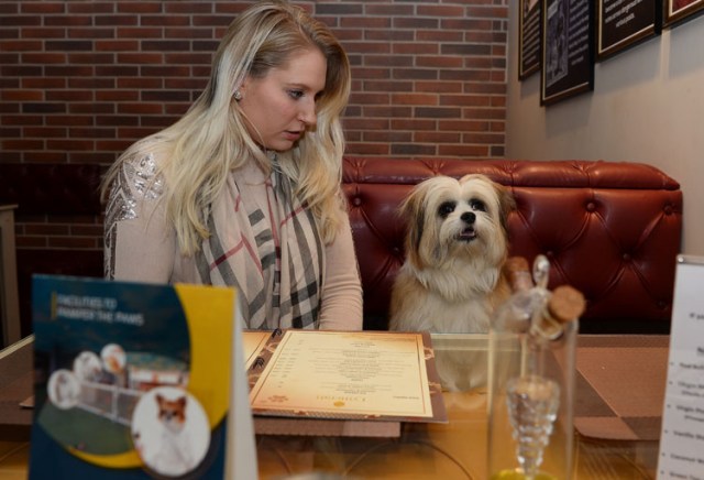 In this photograph taken on November 23, 2017, Katriina Bahri sits with her dog Biloo  inside the cafe at the luxury dog hotel Critterati in Gurgaon. Velvet beds, a relaxing spa, 24-hour medical care and non-alcoholic beers imported from Belgium: the life of a pampered pooch in India would leave many humans envious. The Critterati, South Asia's first luxury  hotel for dogs, offers suites at up to 70 USD a night for pets whose "parents" will spare no expense to indulge their pride and joy. A world away from the daily grind of India's estimated 30 million strays, breeds such as St Bernards, labradors and Lhassa apsos can now enjoy the last word in canine coddling. / AFP PHOTO / SAJJAD HUSSAIN / To go with: INDIA-ANIMAL-SOCIAL, FOCUS by Tim WITCHER