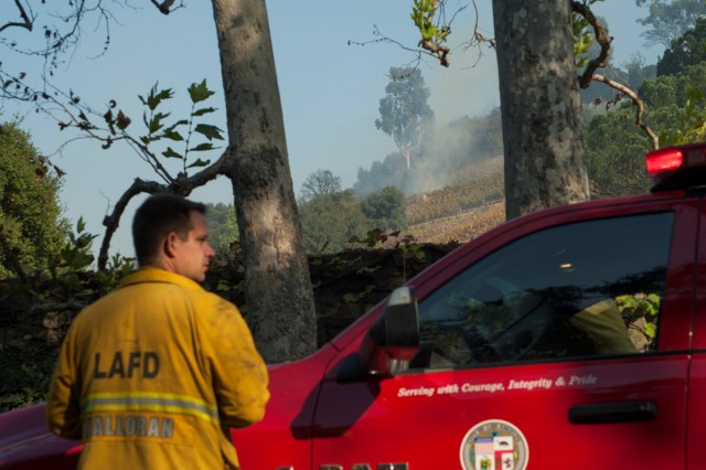 A firefighter stands watch outside of a vineyard owned by Rupert Murdoch damaged by the Skirball fire near the Bel Air neighborhood on the west side of Los Angeles, California, U.S., December 6, 2017.      REUTERS/Andrew Cullen