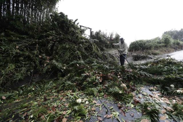 Un hombre trata de limpiar la vía donde varios árboles cayeron al suelo y tumbaron el cableado eléctrico en San José (Costa Rica). Un frente frío que afecta al país centroamericano desde el sábado con lluvias y ráfagas de viento de hasta 100 kilómetros por hora, deja hasta el momento dos turistas extranjeros fallecidos, caída de árboles y cortes eléctricos en diversas partes del país. EFE/ Jeffrey Arguedas