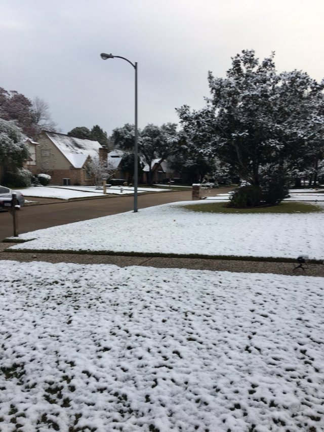 Nevada en Houston. Foto @JeanSuriel