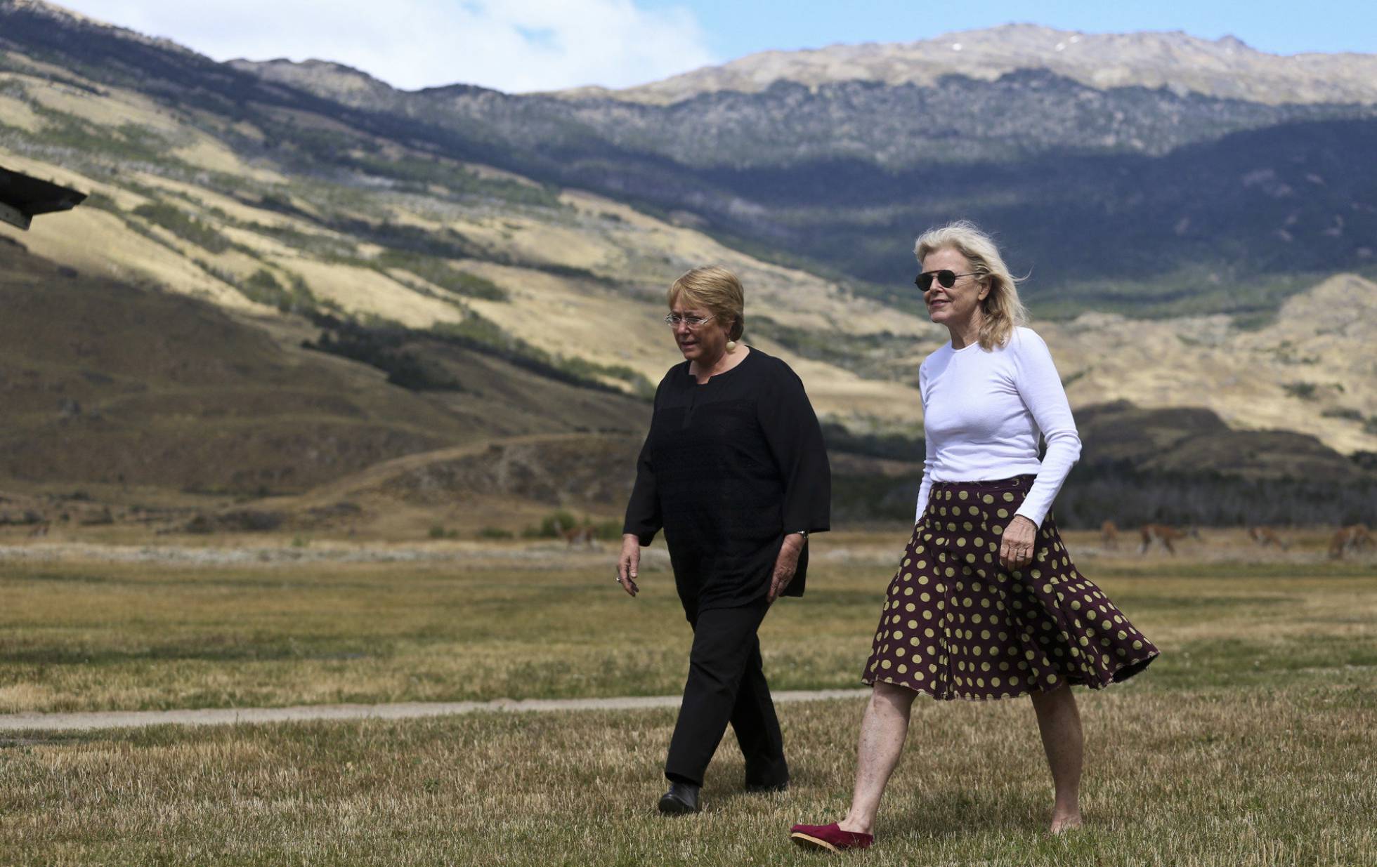 Crean en Chile un parque natural del tamaño de Suiza