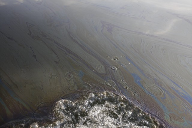 La contaminación fue visible a principios de este mes en las aguas del lago de Maracaibo. / foto Fabiola Ferrero para WSJ