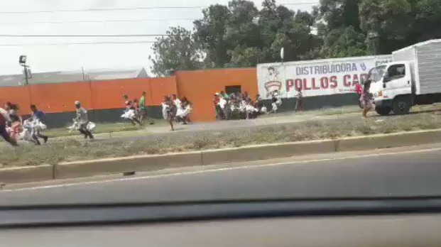 Reportan saqueo de pollos vivos en una granja en San Félix (video)