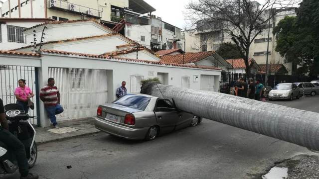 Alexander Flores estaba esperando a un pasajero cuando una palmera cayó sobre su auto. Foto: Archivo