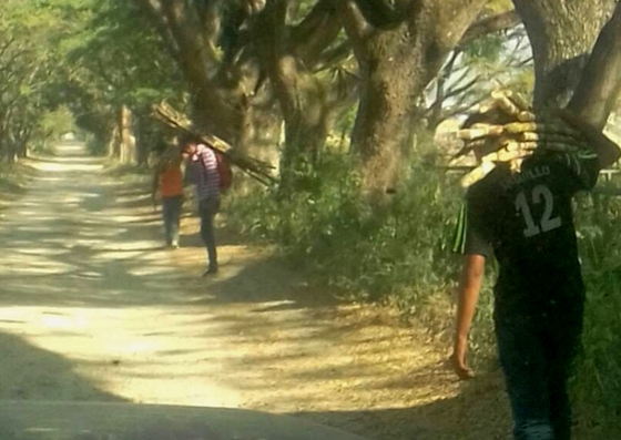 Foto: Saquean una central azucarera en Aragua / Gregoria Díaz? 