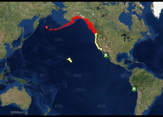 tsunami alaska