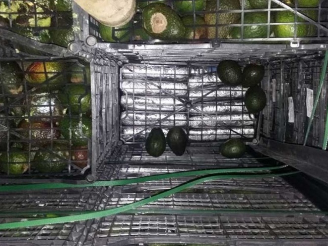 El Ejército mexicano decomisa 800 kilos de cocaína ocultos entre aguacates