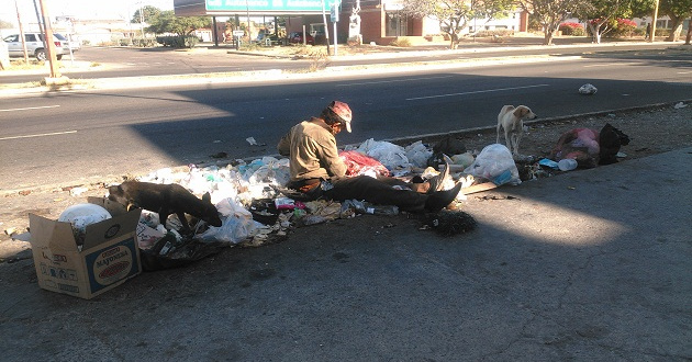 Regional Invasión de moscas atacan la salud de los tachirenses