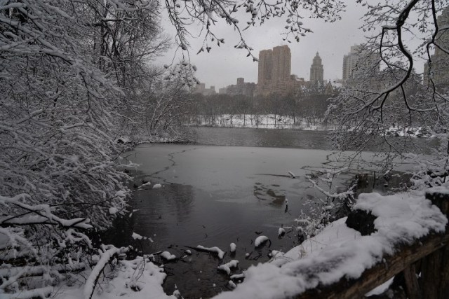 Snow in Central Park in New York  March 21, 2018  as  the fourth nor'easter in a month hits the tri-state area on the first full day of spring. Winter Storm Toby, is throwing a fresh blanket of snow just as spring begins. The storm caused heavy damaged in the south with hail, high winds and tornadoes. / AFP PHOTO / TIMOTHY A. CLARY