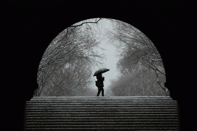 Un peatón camina por Central Park durante una tormenta de nieve en Nueva York, EE. UU. Foto REUTERS / Lucas Jackson