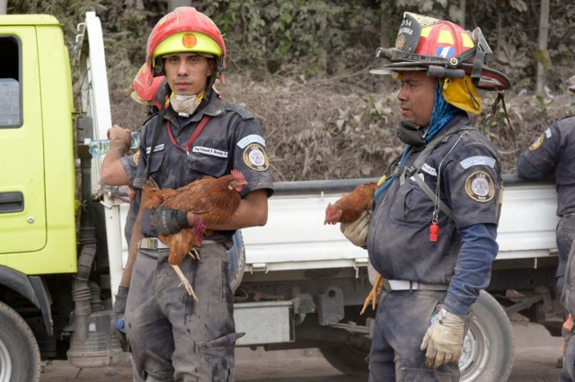 GU2013. EL RODEO (GUATEMALA), 05/06/2018.- Rescatistas continúan las labores de búsqueda hoy, martes 5 de junio de 2018, en la localidad de El Rodeo (Guatemala), después de la erupción del volcán de Fuego. A 70 aumentó la cifra provisional de muertos en Guatemala por la erupción del volcán de Fuego, y las brigadas reanudaron hoy la búsqueda de desaparecidos, cuyo número es incierto, bajo las toneladas de ceniza, informó una fuente oficial. EFE/Rodrigo Pardo