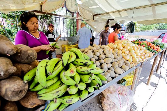 Canasta básica alimentaria en el mes de enero se ubicó en los 397 dólares, según el OVF