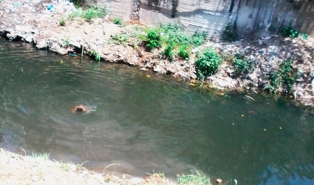 Niños se lanzan de puente en Margarita a cambio de dinero