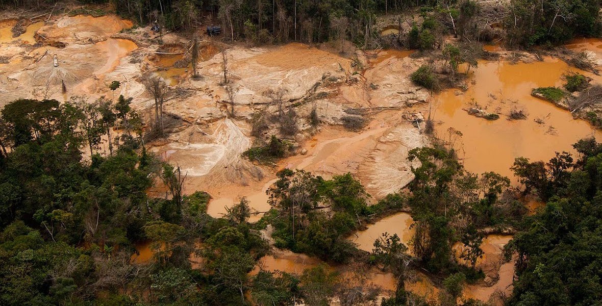 ¿Por qué la seguridad ambiental es crucial para el futuro de Venezuela?