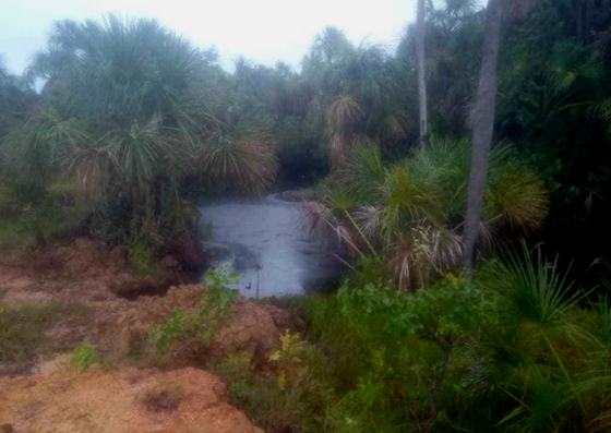 Denuncian derrame de petróleo en el Río Macarapana en Anzoátegui (foto)