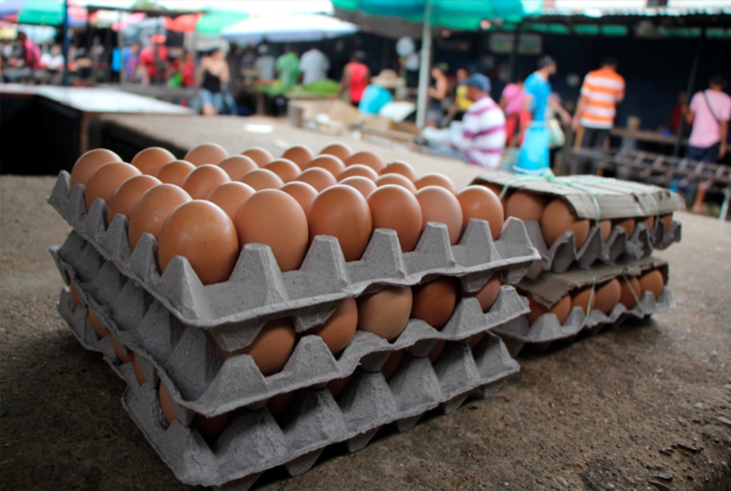 Diez meses de trabajo cuesta un cartón de huevos